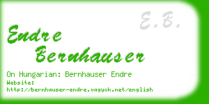 endre bernhauser business card